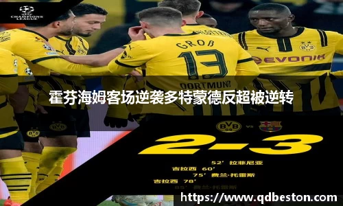 霍芬海姆客场逆袭多特蒙德反超被逆转